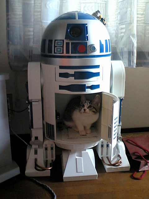 r2-d2_with_cat_inside
