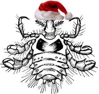 Crab louse in a "Santa" hat