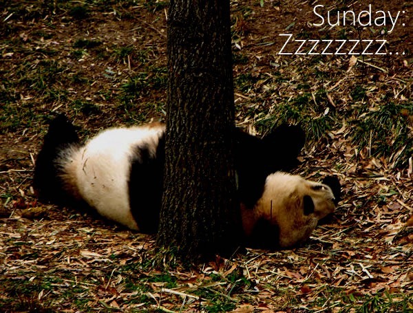 sunday - zzzzz