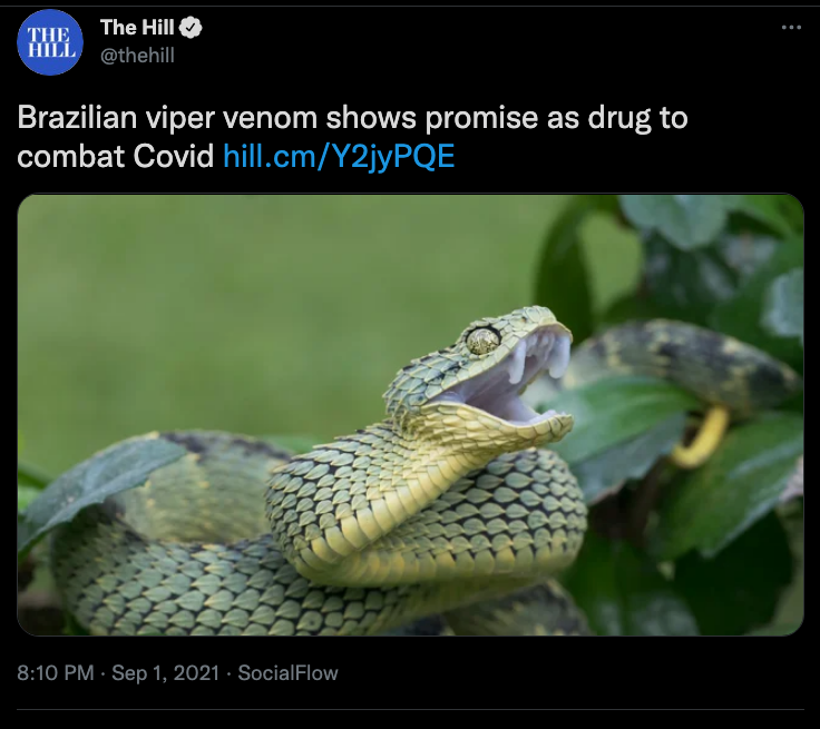 Tweet from “The Hill”: Brazilian viper venom shows promise as drug to combat COVID.